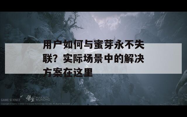 用户如何与蜜芽永不失联？实际场景中的解决方案在这里