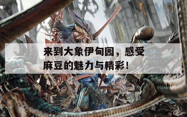 来到大象伊甸园，感受麻豆的魅力与精彩！